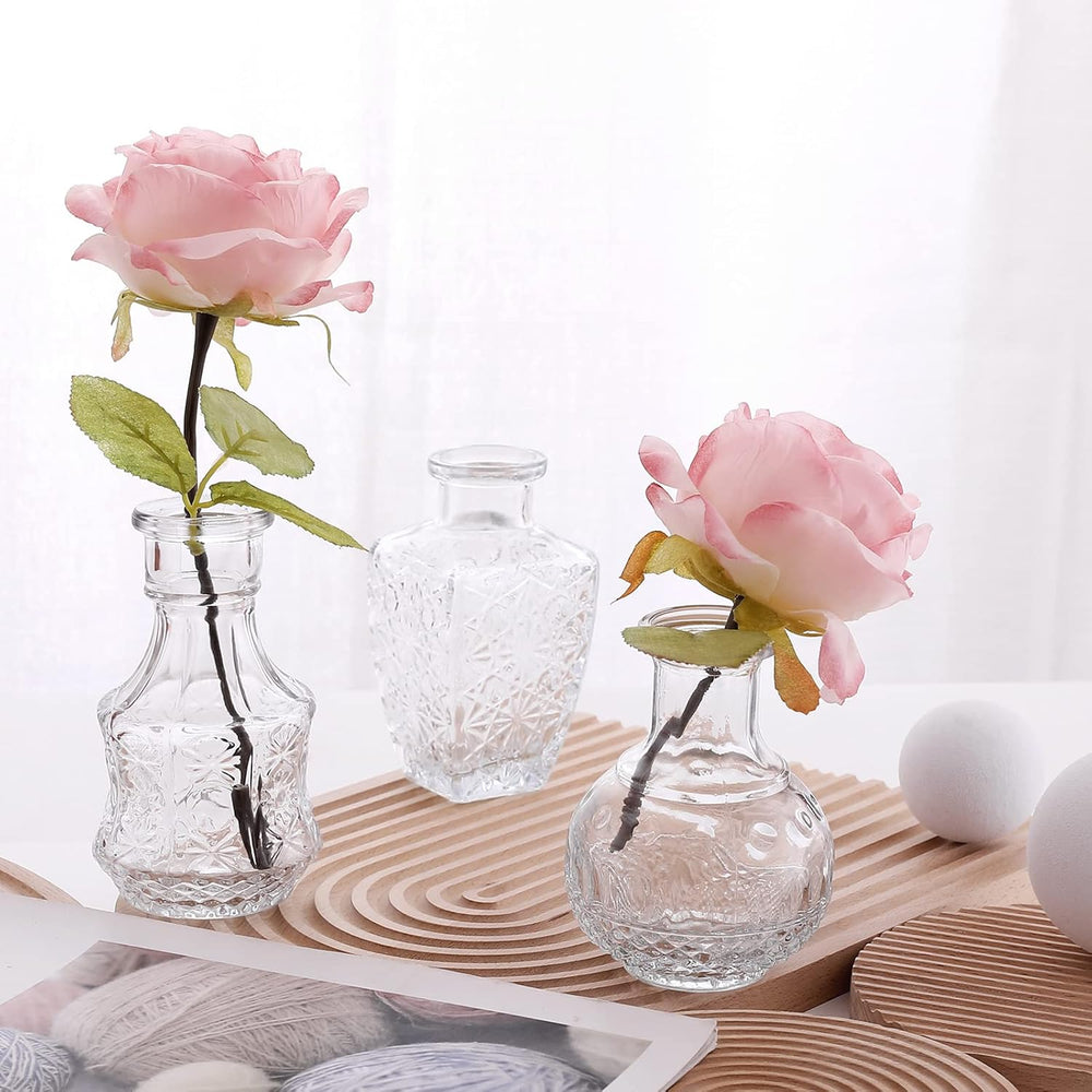 Arme Glass Bud Vase Set of 32 Pcs，Small Glass Vases for Flowers，Clear Bud Vas...
