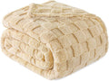 Exclusivo Mezcla Queen Size Flannel Fleece Blanket, Super Soft and Warm by ExclusivoMezcla