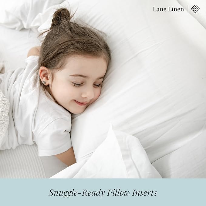 LANE LINEN 12x20 Pillow Insert - Image 3