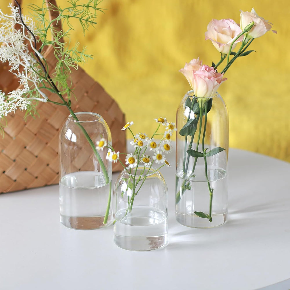 Etolies Glass Bud Vases in Bulk Set of 12, Clear Small Vases for Flowers,Mode...