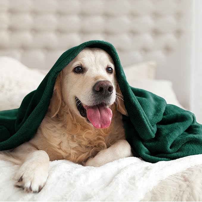 BEDELITE Fleece Blankets Queen Size Forest Green Throw Blankets - Image 9