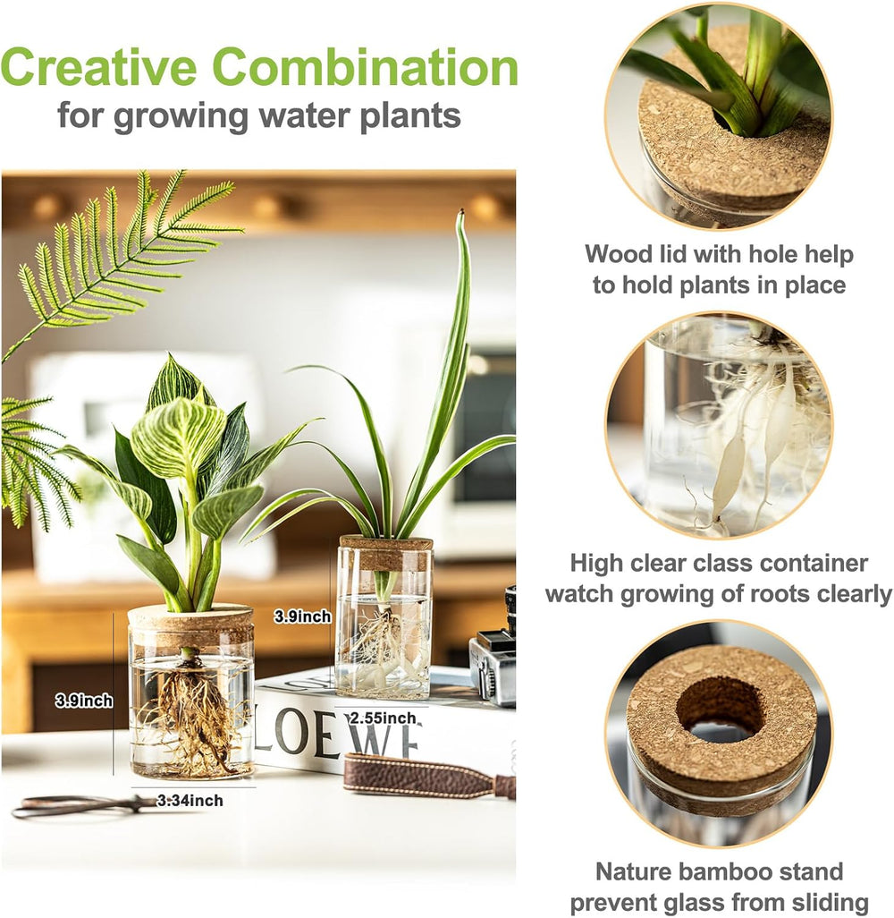 Glass Plant Propagation Stations for Plants – Set of 12(6 Large & 6 Small...