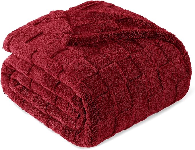 Exclusivo Mezcla Queen Size Flannel Fleece Blanket, Super Soft and Warm by ExclusivoMezcla