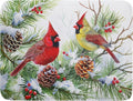 Giwawa Red Birds Dish Drying Mat, Xmas Tree Branch Holly Red Berries Dish by Giwawa