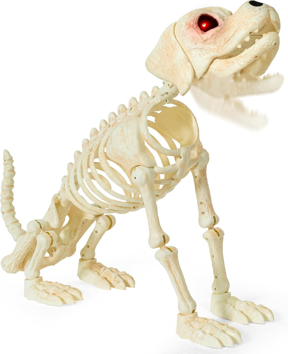 JOYIN Halloween Golden Retriever Skeleton 34” Animal Dog Plastic Skeleton wit...