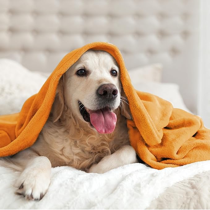 BEDELITE Fleece Blanket King Size Blankets - Image 9