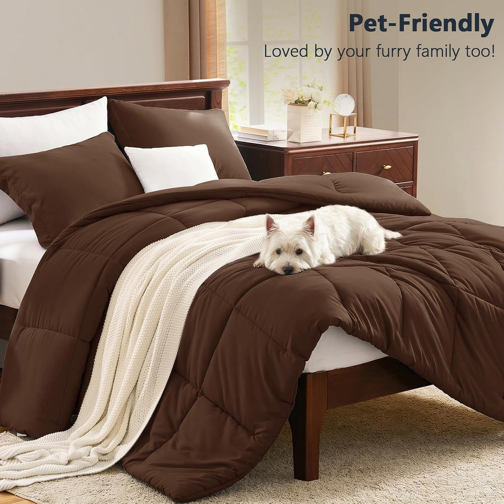 CozyLux Queen Size Comforter Set, 3-Piece Box-Stitched, Brown
