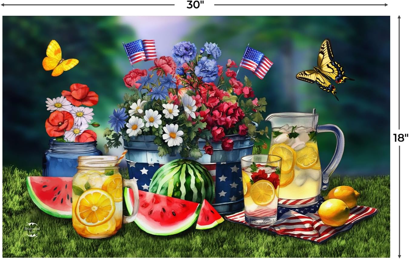 Briarwood Lane Summer Doormat 30x18 Indoor Outdoor American Lemonade for Summer Doormat