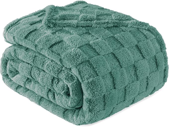 Exclusivo Mezcla Queen Size Flannel Fleece Blanket, Super Soft and Warm by ExclusivoMezcla
