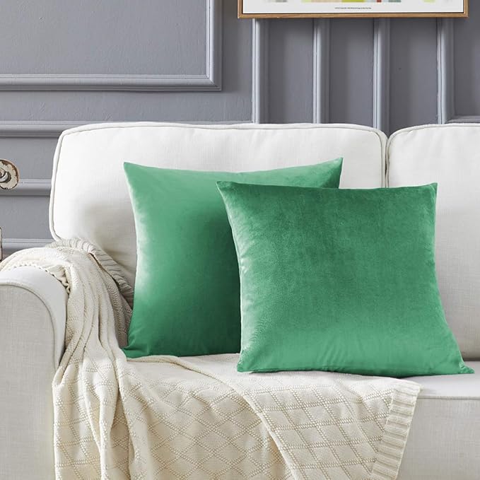 GIGIZAZA Decor Throw Couch Pillow Covers, Velvet Pillow Cases 24 x 24inch by GIGIZAZAFocusingonhomedecoration