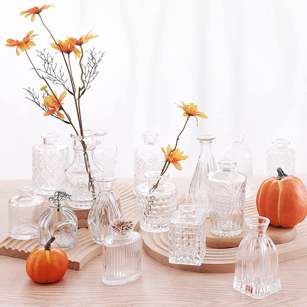 Arme Glass Bud Vase Set of 32 Pcs，Small Glass Vases for Flowers，Clear Bud Vas...