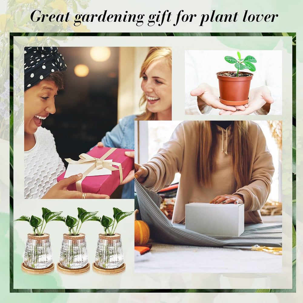 Baderke 12 Pack Propagation Vases for Plants, Vertical Grain Style
