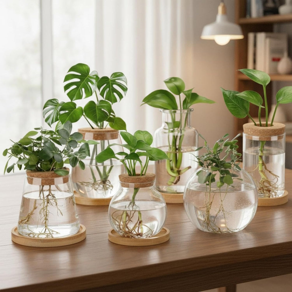 6 Pcs Plants Propagation Station Planter Terrariums Wooden Lid Bamboo Stand