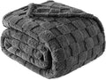 Exclusivo Mezcla Queen Size Flannel Fleece Blanket, Super Soft and Warm by ExclusivoMezcla
