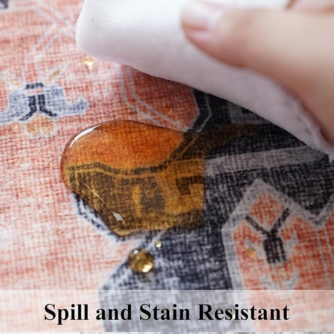 Washable 2x3 Small Area Rug: Vintage Indoor Soft Non Slip Door Mat Stain - Image 7