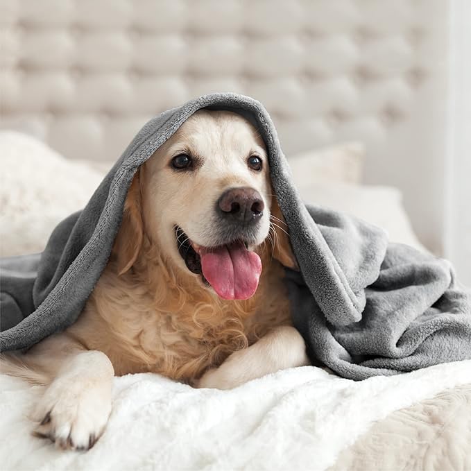 BEDELITE Fleece Blankets Queen Size Grey Throw Blankets - Image 9