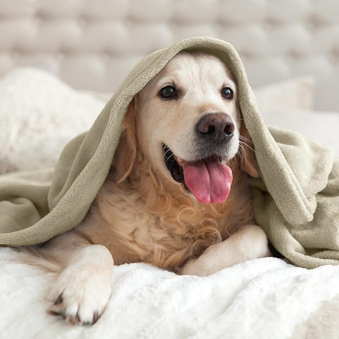 BEDELITE Fleece Blanket Oat Linen Throw Blankets - Image 7