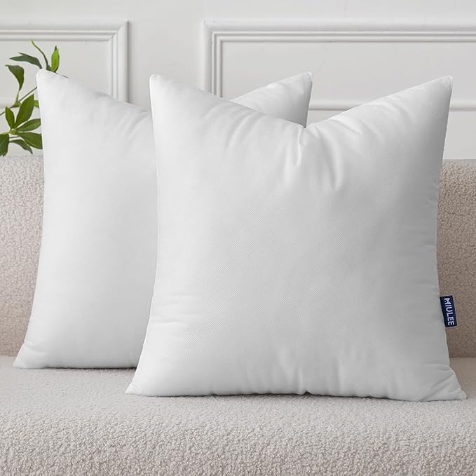 MIULEE Set of 2 Throw Pillow Inserts 22x22 Inches, Non-Woven Decorative Pillow by MIULEE