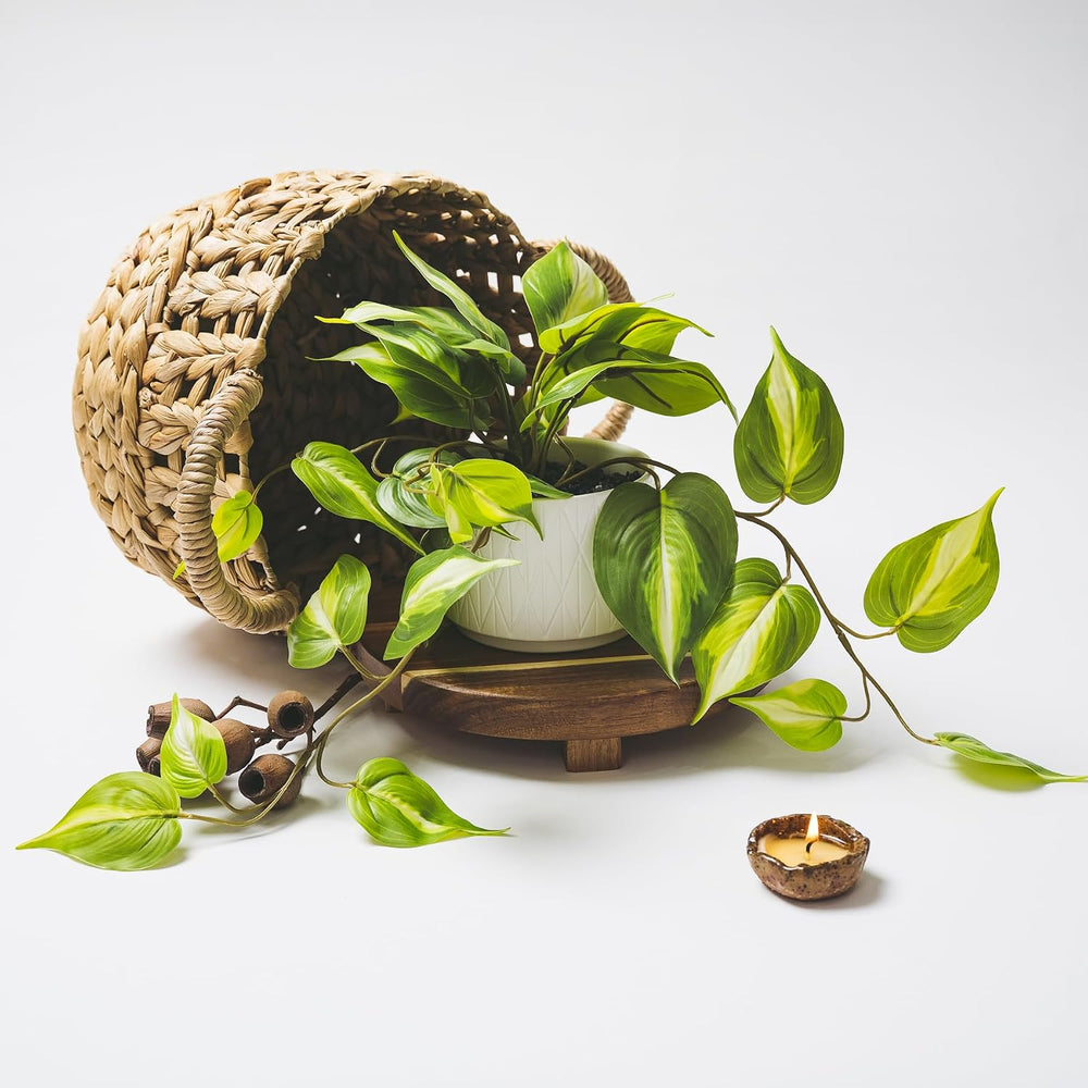 Kurrajong Farmhouse Light Green Fake pothos Plant | Fake Plant for Shelf Deco...