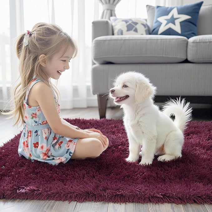 Rugs for Bedroom 4x6, Alfombras para Salas Shag Large Plush Soft Area Rug - Image 2