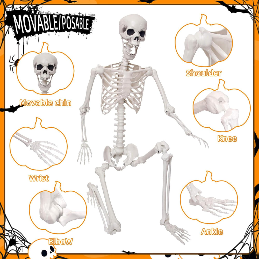 Lodou 5.9Ft/180cm Life Size Giant Skeleton Poseable Plastic Skeleton for Hall...