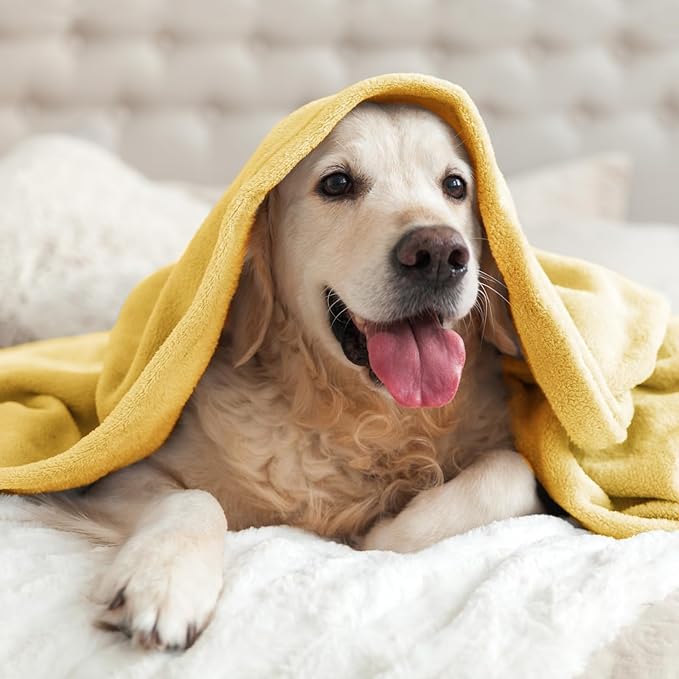 BEDELITE Fleece Blanket Twin Size Cream Yellow Throw Blankets - Image 8