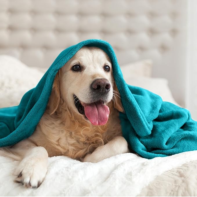BEDELITE Fleece Blankets Queen Size Bluebird Throw Blankets - Image 9