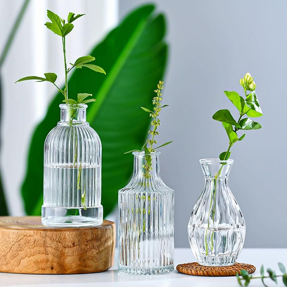 Small Glass Vases for Flowers, 32pcs Clear Mini Bud Vases in Bulk