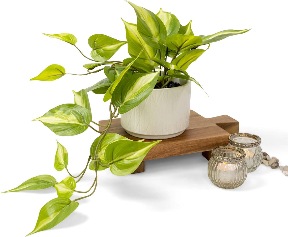 Kurrajong Farmhouse Light Green Fake pothos Plant | Fake Plant for Shelf Deco...