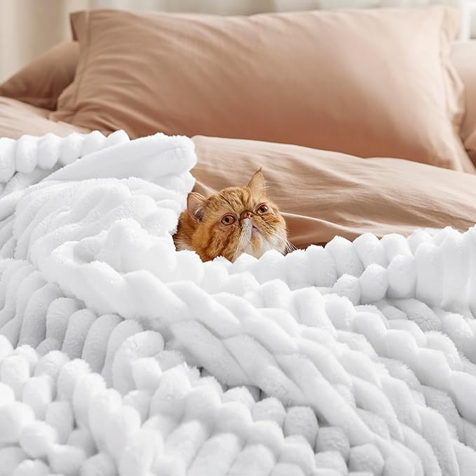 Bedsure GentleSoft White California King Size Blanket - Image 4