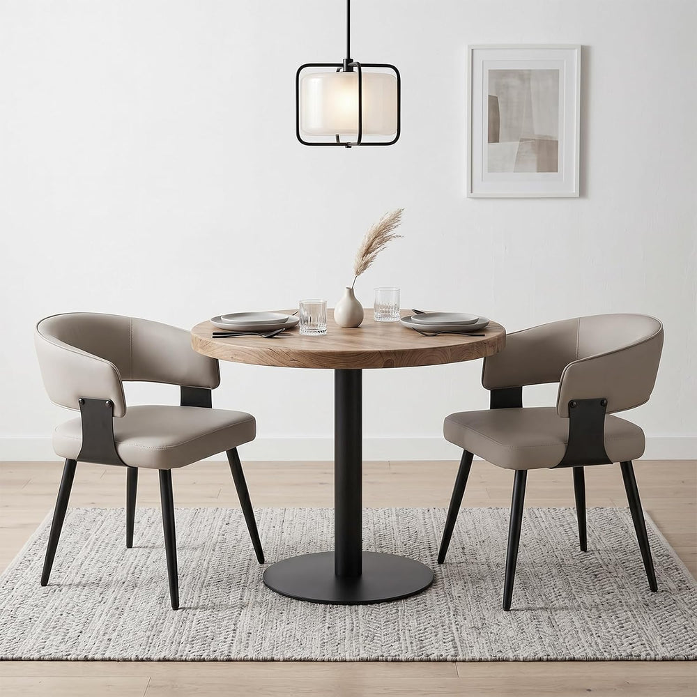 Dining Chairs for Dining Table, Modern Kitchen Chairs Set of 2