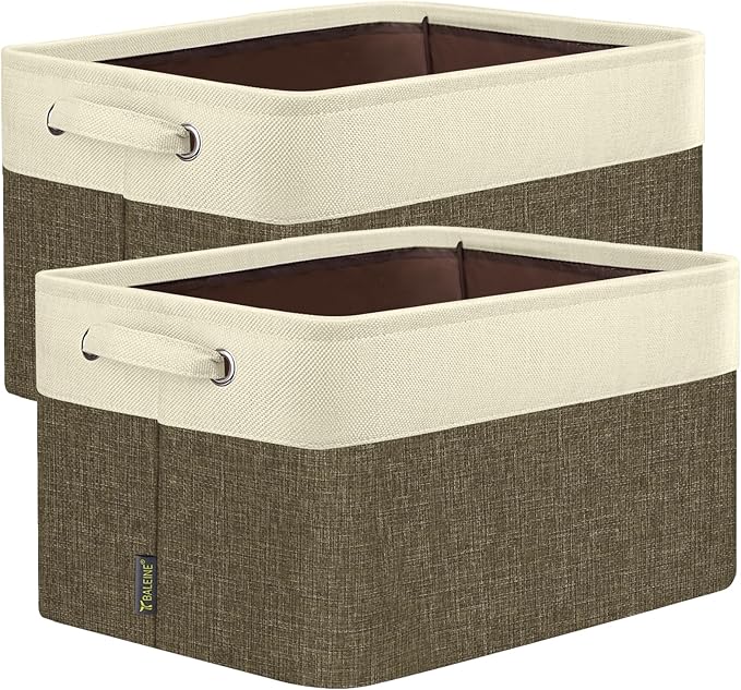 BALEINE 2 Pack Fabric Closet Storage Bins by BALEINE