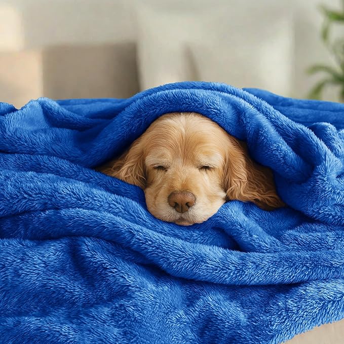 Exclusivo Mezcla Plush Fuzzy Fleece Bed Blanket Queen Size, Super Soft - Image 3