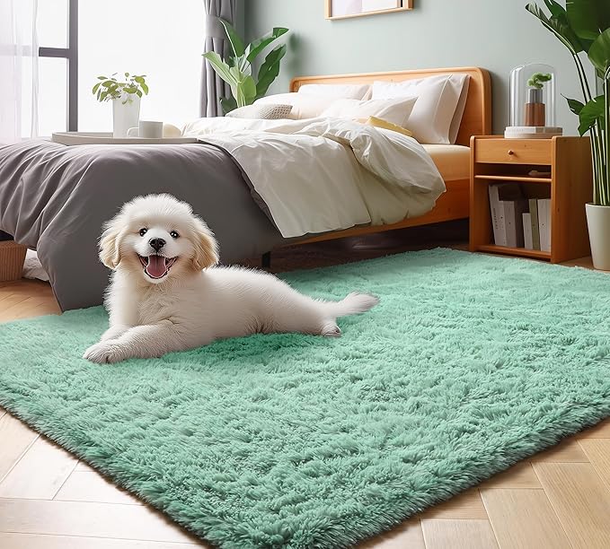 ONASAR Sage Green 3x5 Rugs for Bedroom, Fluffy Bedside Area Rug, Soft Plush by ONASAR