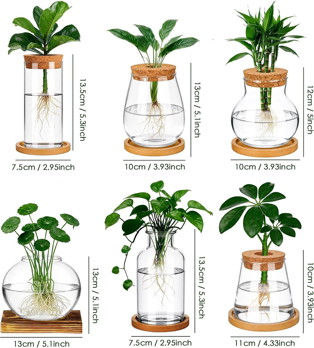 6 Pcs Plant Propagation Station Set, Glass Propagation Vases for Plants with ...
