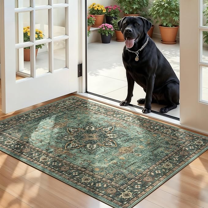 Lofus 2x3 Washable Rug for Entryway Bathroom, Non Slip Kitchen Mats for Floor - Image 5