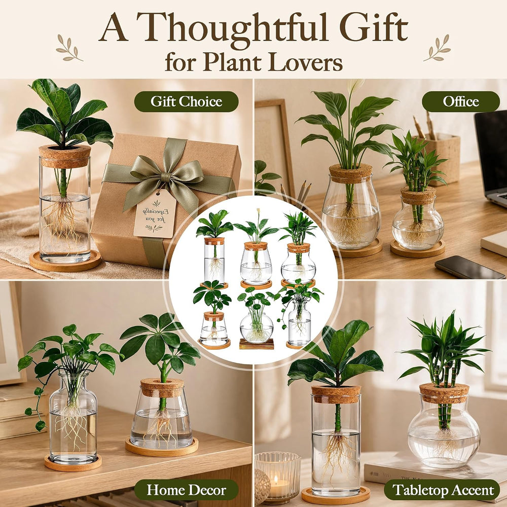 6 Pcs Plant Propagation Station Set, Glass Propagation Vases for Plants with ...