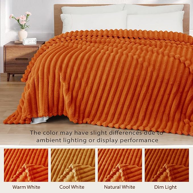 Exclusivo Mezcla Queen Size Flannel Fleece Blanket, Super Soft Striped Jacquard - Image 3