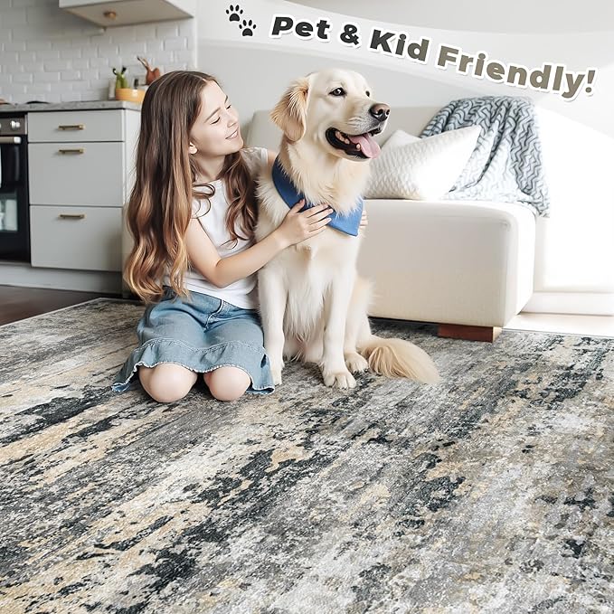 Area Rugs 5x7 for Living Room: Washable Rug Modern Abstract Neutral Soft - Image 5