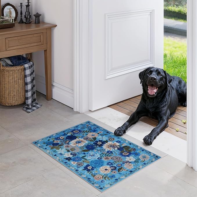 Area Rugs 24x17 Inch Home Decor Entry Rug, Small Door Mat Bath Mats - Image 6