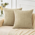 MIULEE Pack of 2 Beige Throw Pillow Covers 18x18 Inch Soft Chenille Pillow by MIULEE