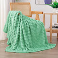 Mint Green Fleece Throw Blanket 60”×80” by linecooo