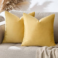 GIGIZAZA Decorative Couch Throw Pillow Covers, Pillow Cases Velvet Pillow Covers by GIGIZAZAFocusingonhomedecoration