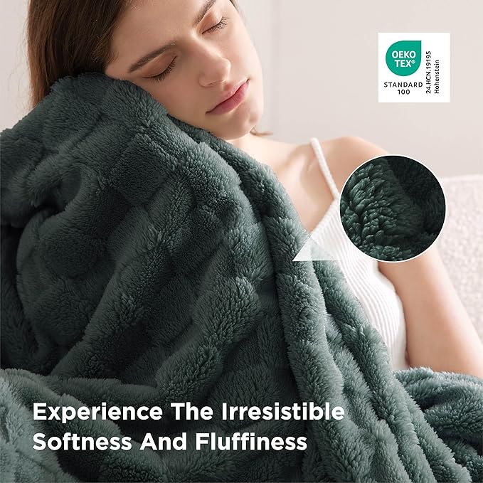Bedsure GentleSoft Blankets Queen Size - Image 4