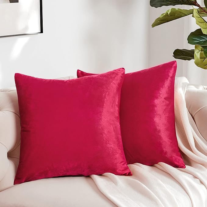 GIGIZAZA Decorative Couch Throw Pillow Covers, Pillow Cases Velvet Pillow Covers - Image 9