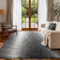 Area Rugs for Living Room, Tie-Dyed 5x7 Feet Soft Fluffy Shagg Plush Rug High by Cuzwlovita
