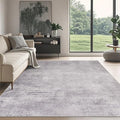Washable Rugs 8x10 Area Rugs for Living Room, Modern Abstract Rugs for Bedroom by Srugn