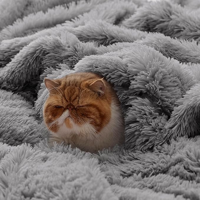 Bedsure GentleSoft Fluffy Grey King Size Blanket - Image 4