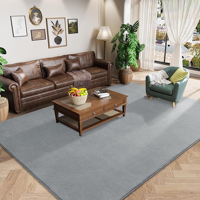 Amearea Modern Area Rugs for Bedroom Living Room, 4x6 Feet Grey Thickened by AmeareaDirect