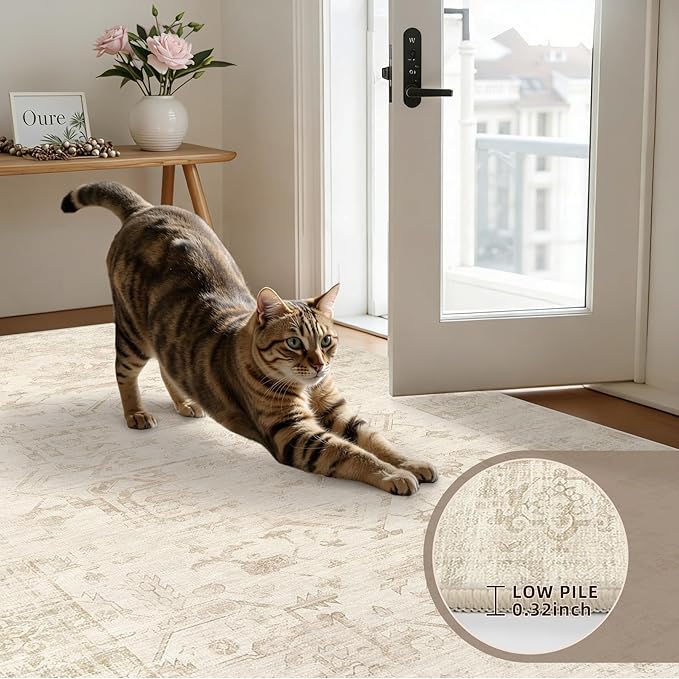 6x9 Area Rugs for Living Room: Vintage Boho Neutral Washable Rug Indoor Soft - Image 7